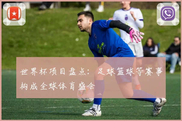 世界杯项目盘点:足球篮球等赛事构成全球体育盛会