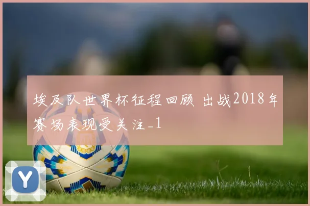 埃及队世界杯征程回顾 出战2018年赛场表现受关注_1