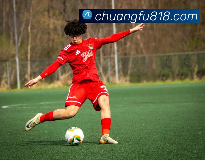 世界杯体育app官网平台生态图